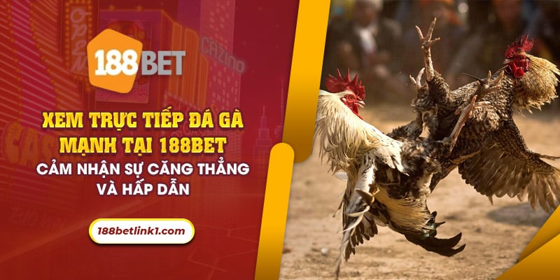 53 xem truc tiep da ga manh tai 188bet cam nhan su cang thang va hap dan