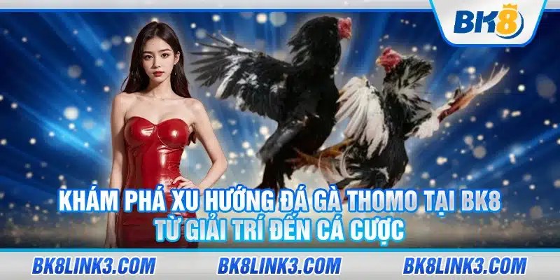 18 Kham pha xu huong da ga thomo tai BK8 Tu giai tri den ca cuoc