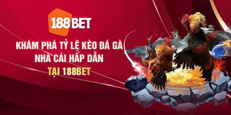 Khám phá tỷ lệ kèo đá gà nhà cái hấp dẫn tại 188Bet